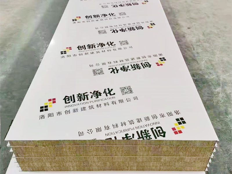 岩棉彩鋼（gāng）淨（jìng）化板